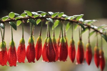 东莞常平私人快速借钱网，轻松解决资金难题