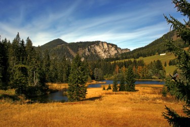 东莞常平民间私贷攻略：揭秘低成本借贷的秘密