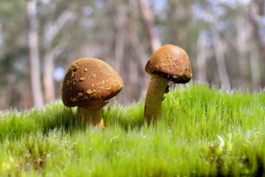 东莞常平私人老板放款：轻松融资的秘密通道